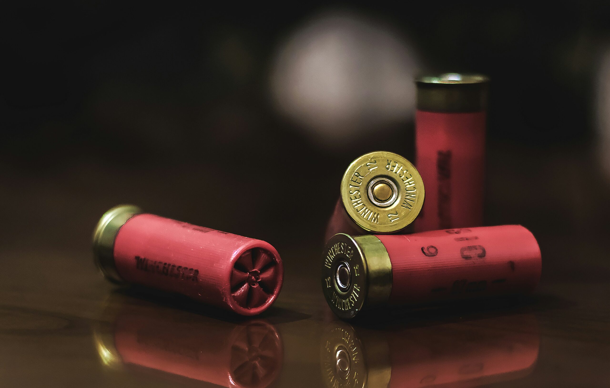 Shotgun shells